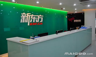 新东方教育加盟代理 投资费用与咨询指南